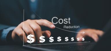 Reduced Costs