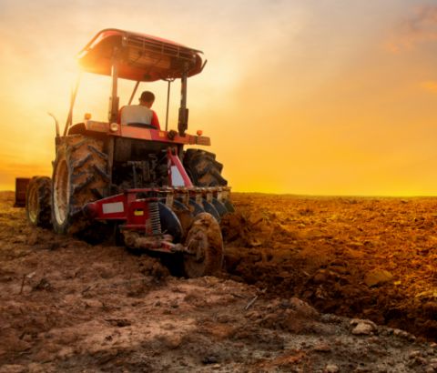 Agriculture Agriculture