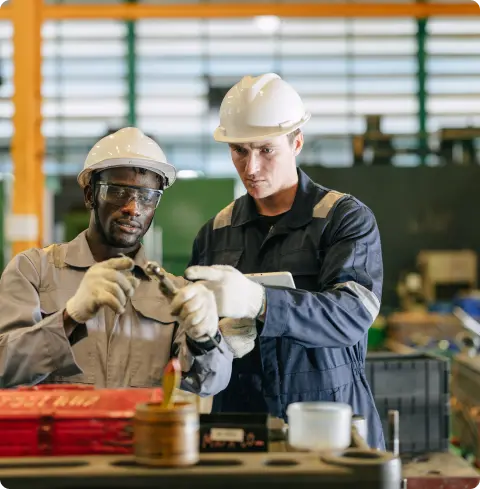 Audits and Engineering
